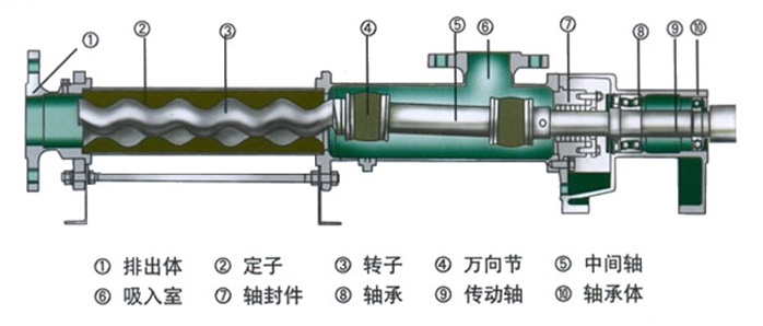 G型臥式單螺桿泵內部結構圖